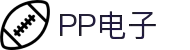 PP电子(中国)官方网站 - PP Electronic
